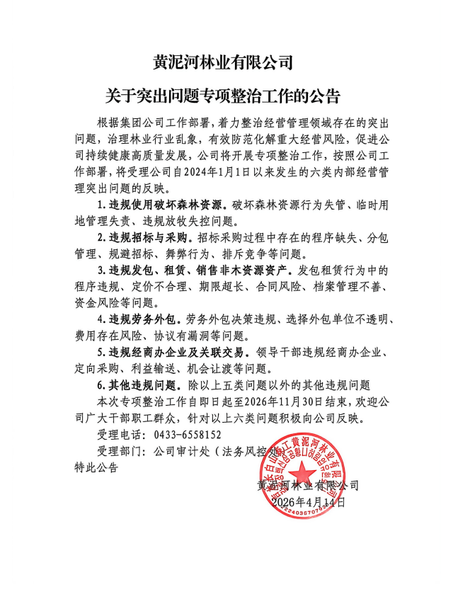 關(guān)于突出問題專項整治工作的公告_01.png